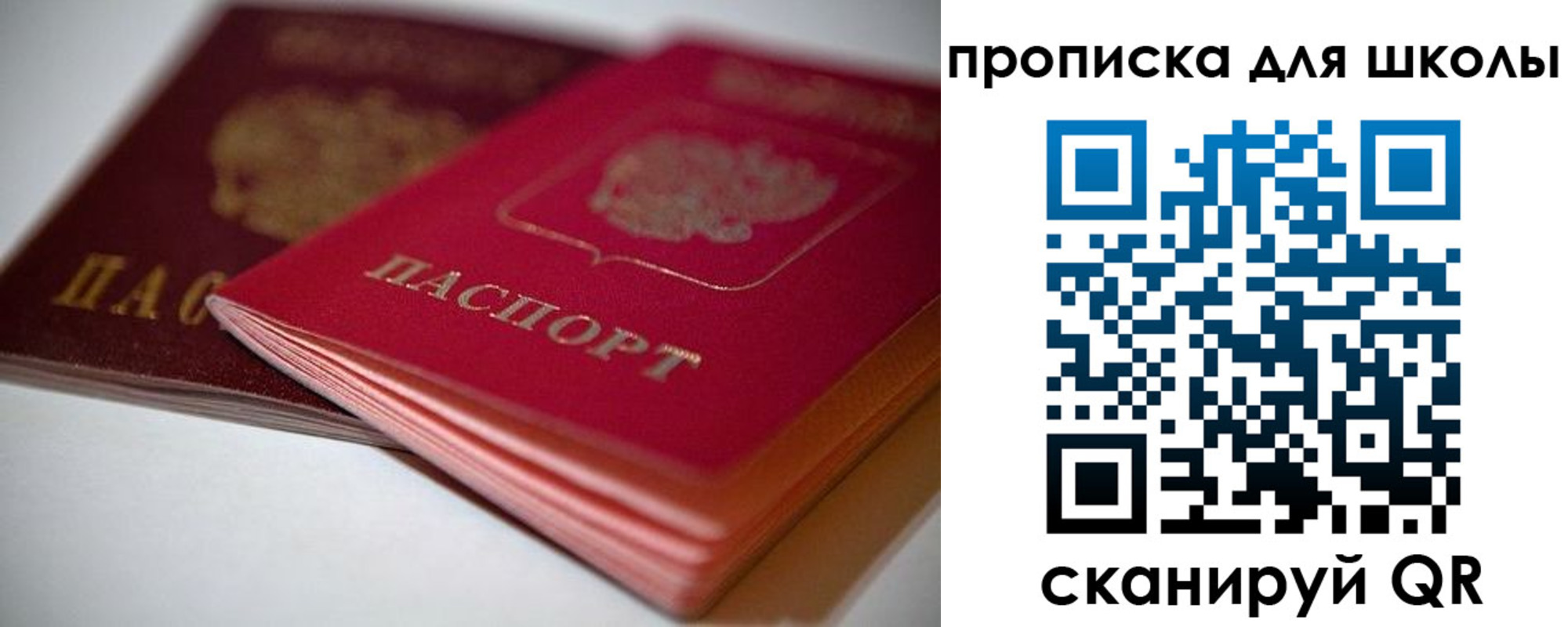 прописка для школы в Ногинске